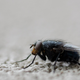 Illustration for article titled 153 Photos of Teeny Tiny Things